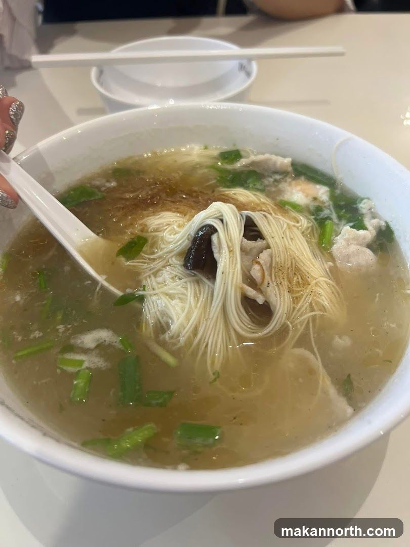 Noodle Soup