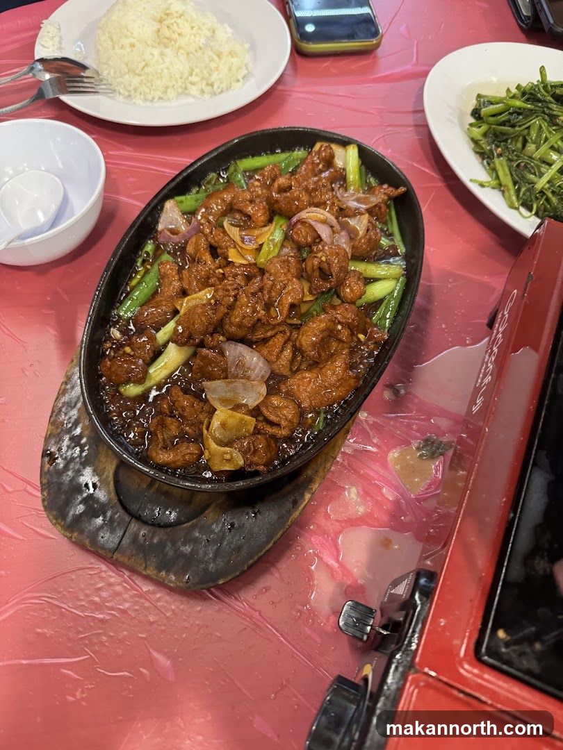 Sizzling Beef with Onions and Scallions