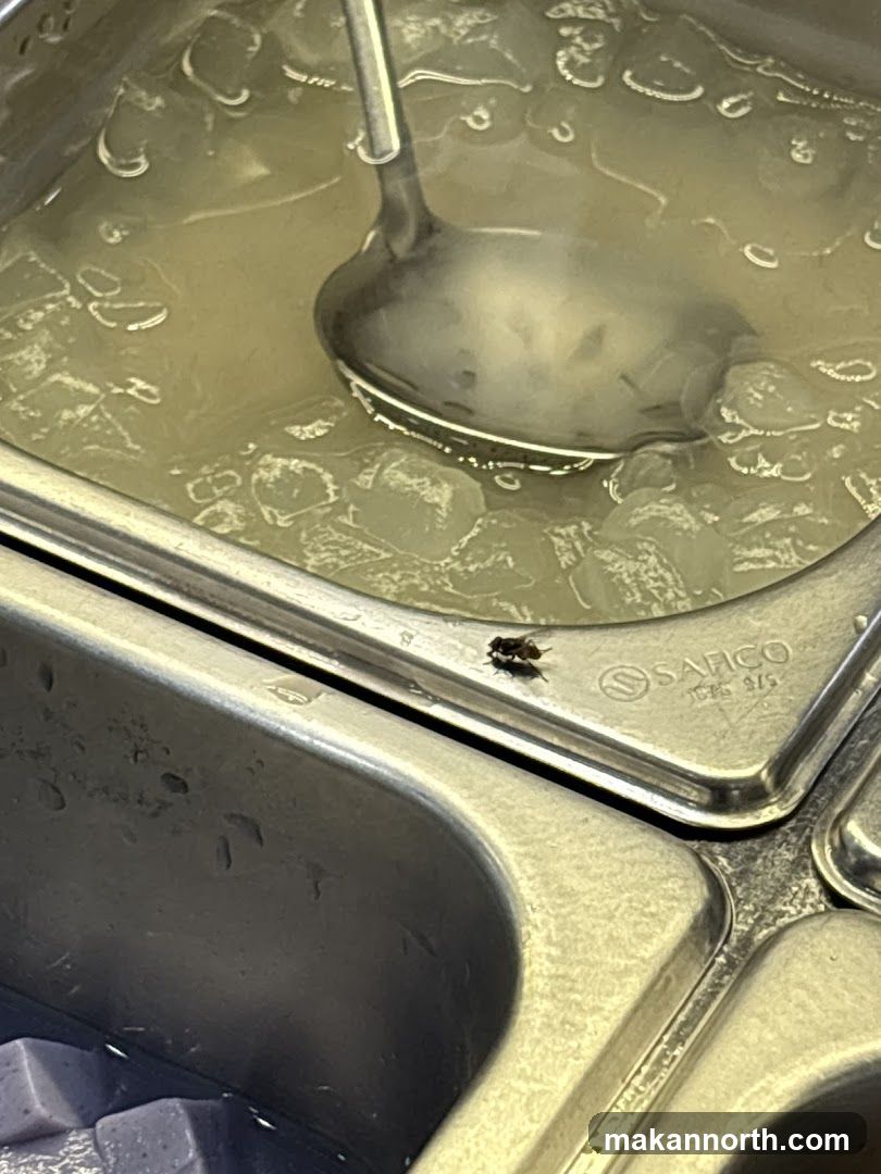 Food container with flies