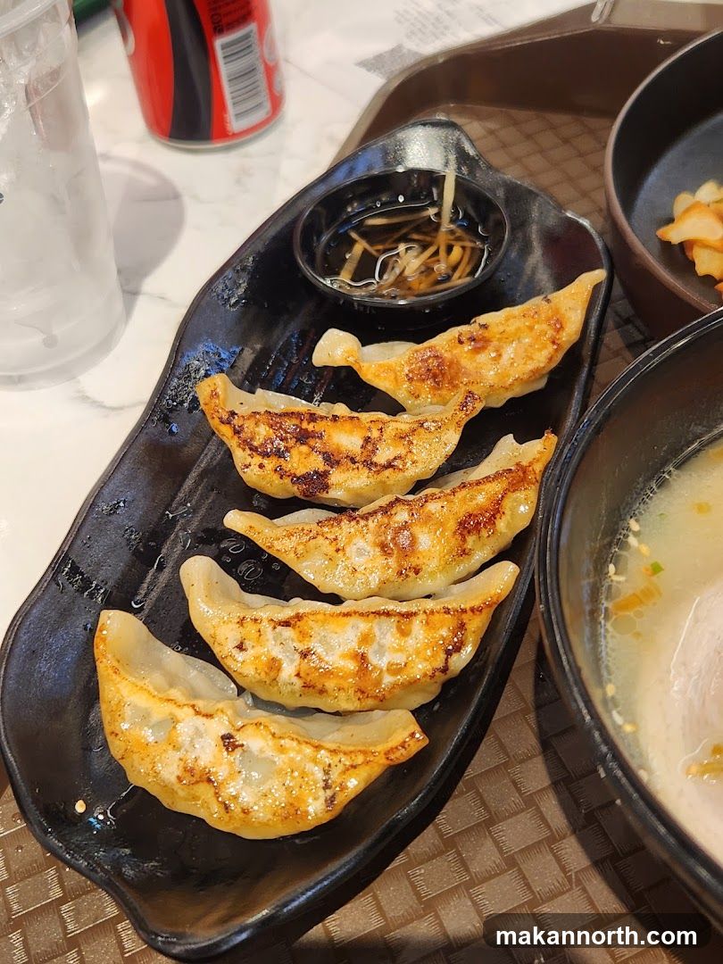 Pan-fried dumplings and ramen