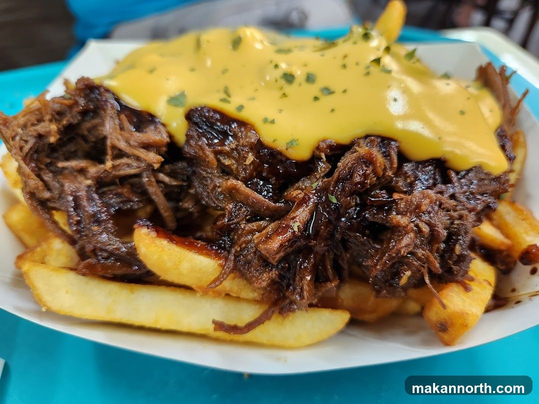 Pulled Pork Cheese Fries