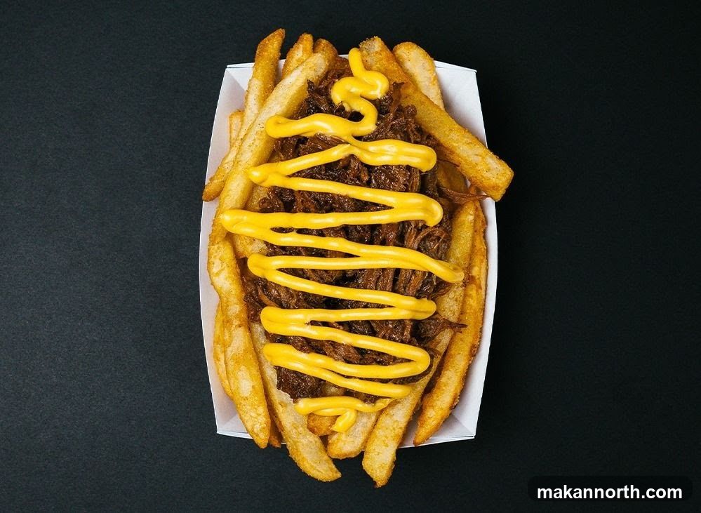 Pulled Pork Fries