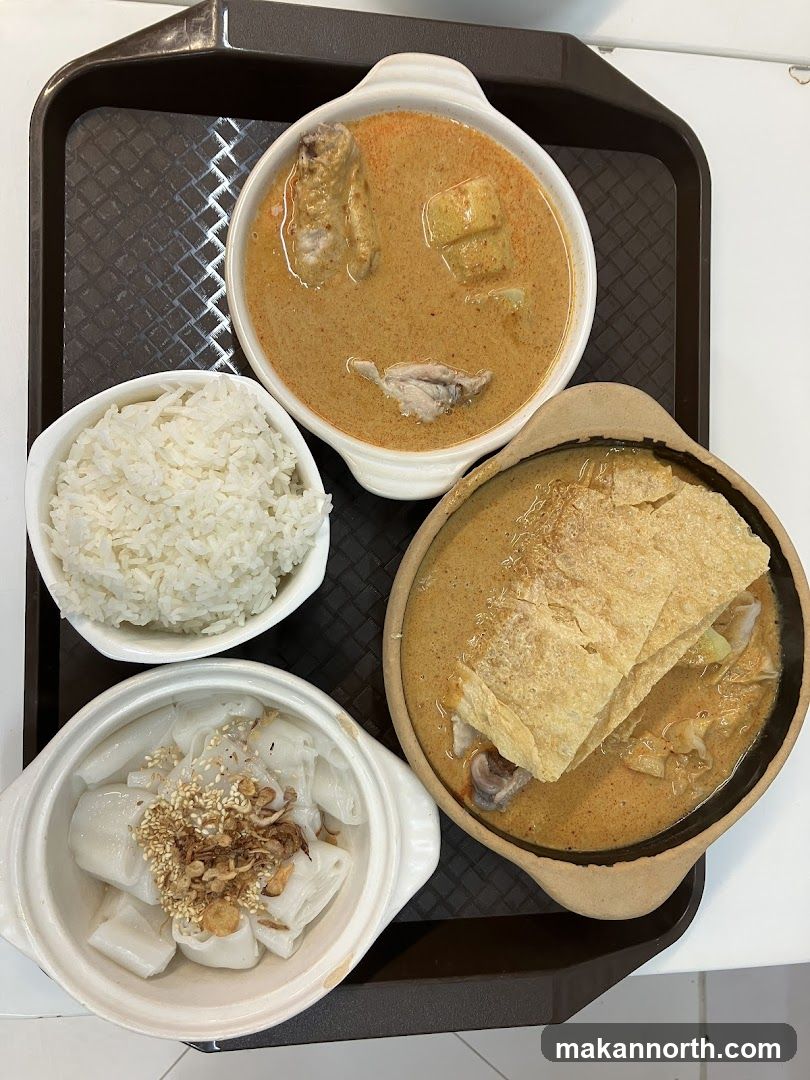 Curry Dishes with Rice and Noodles