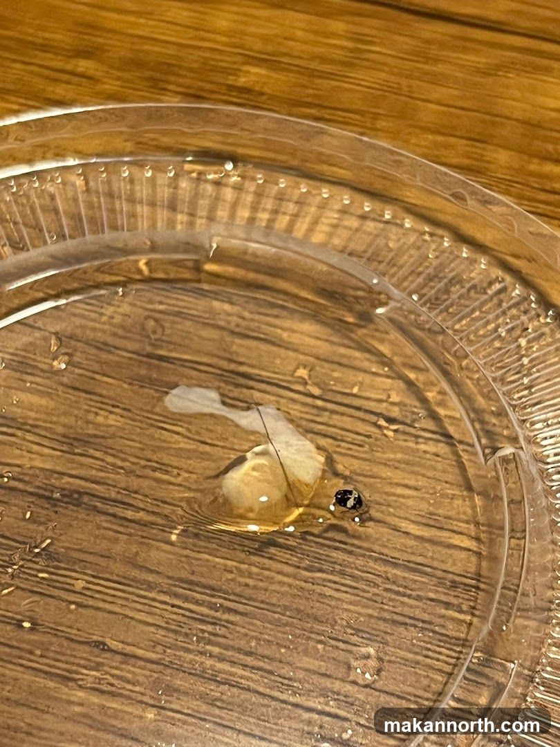 Small insect in liquid