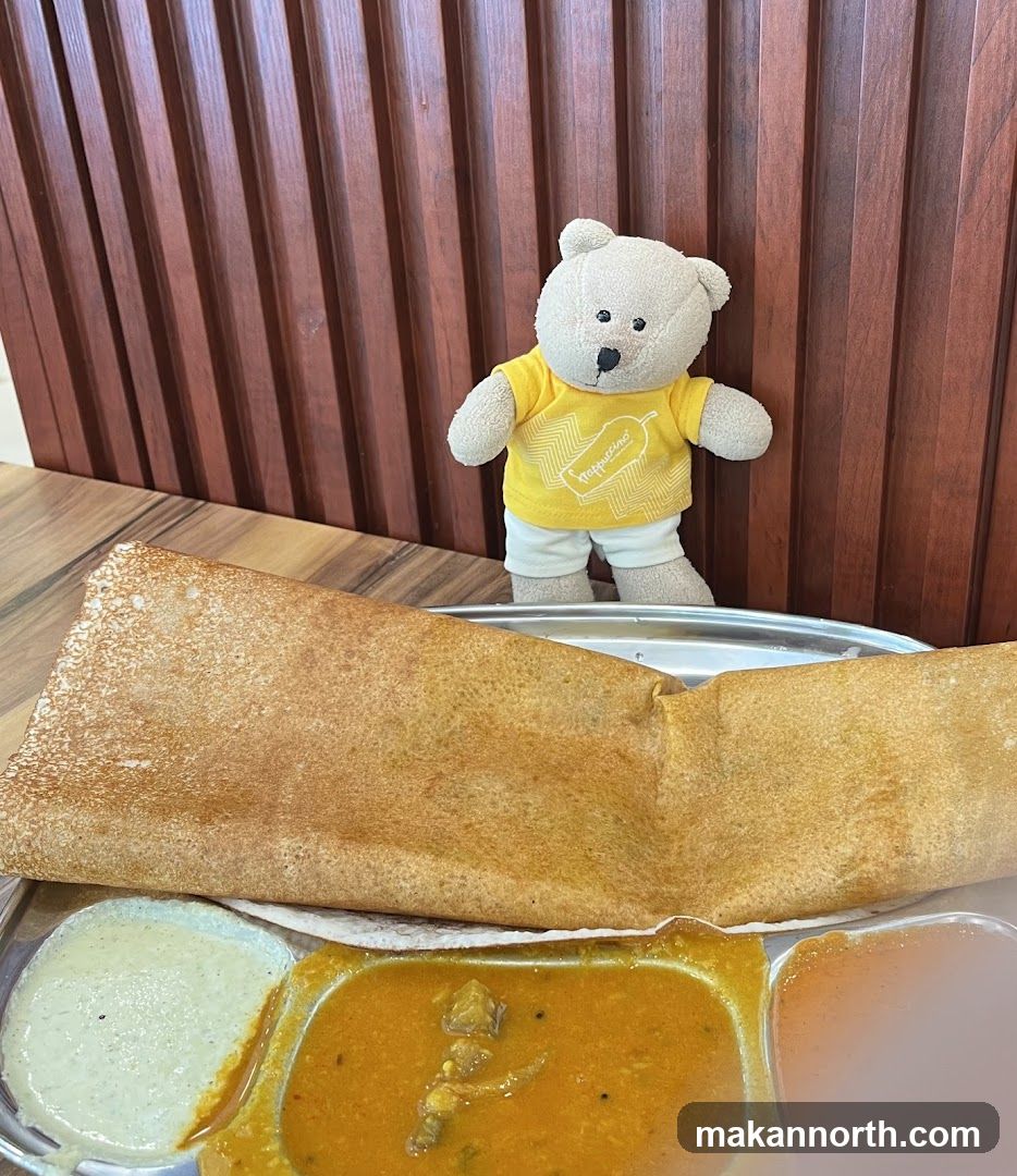 Teddy Bear with Dosa