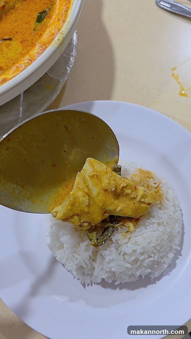 Curry being served over rice
