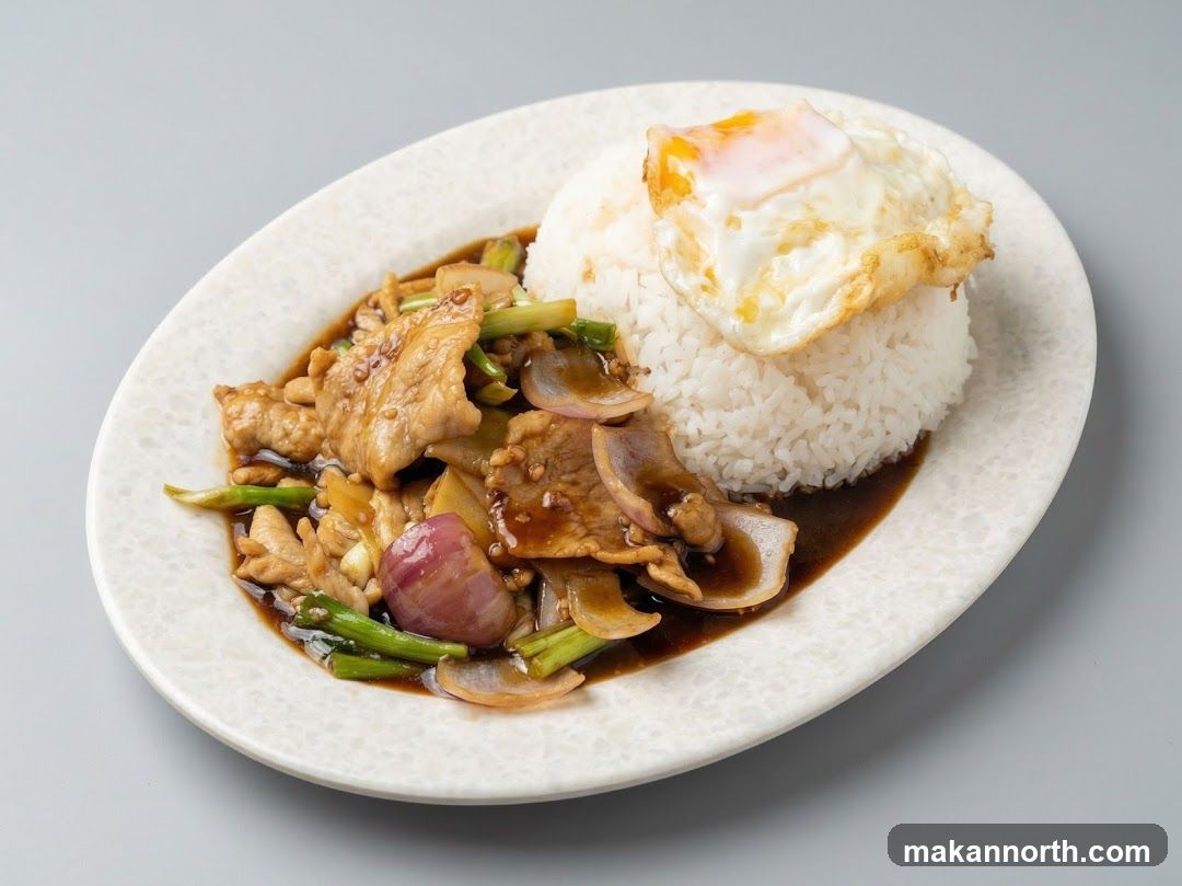 Stir-fried Pork with Rice and Fried Egg