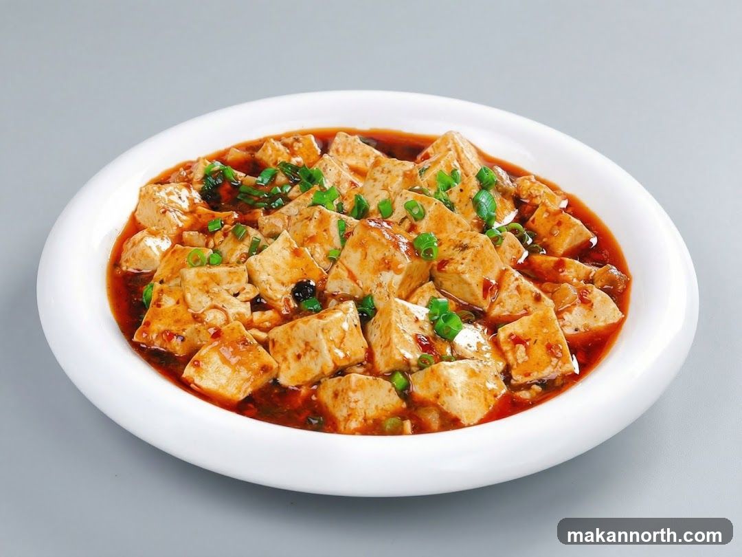 Mapo Tofu