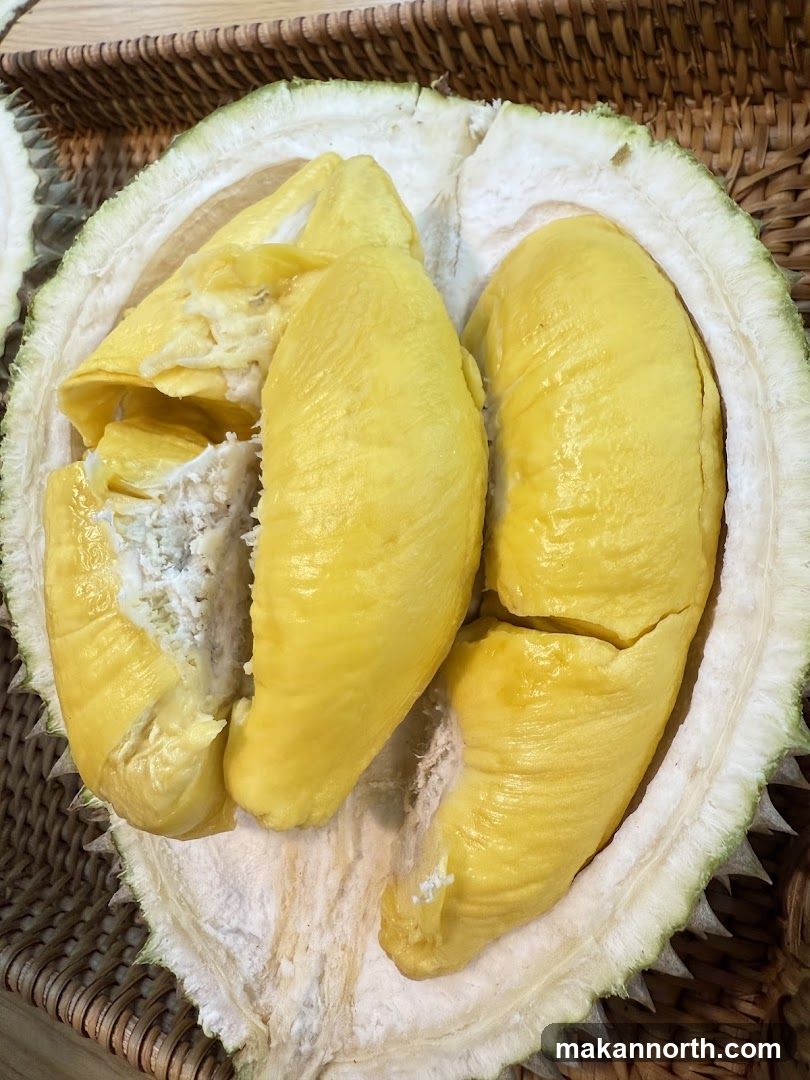 Durian Fruit