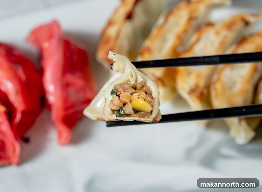 Gyoza with Pickled Ginger