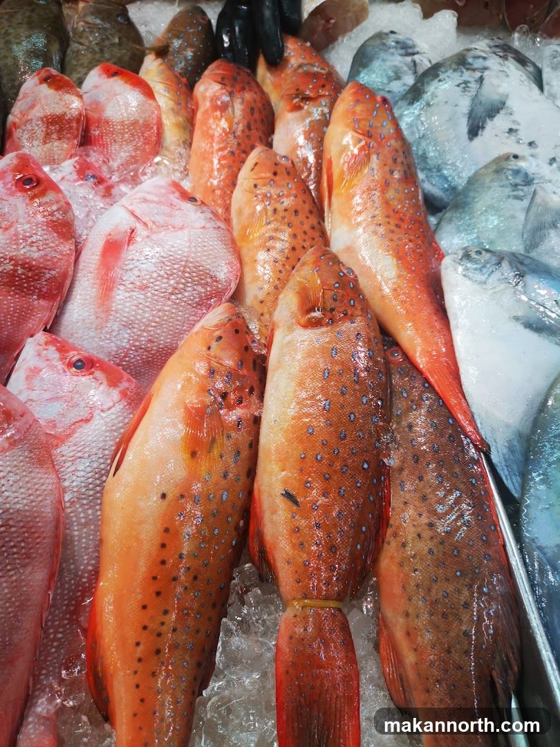 Fresh Fish Display