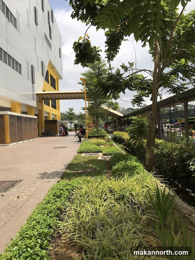 Outdoor walkway with greenery and building