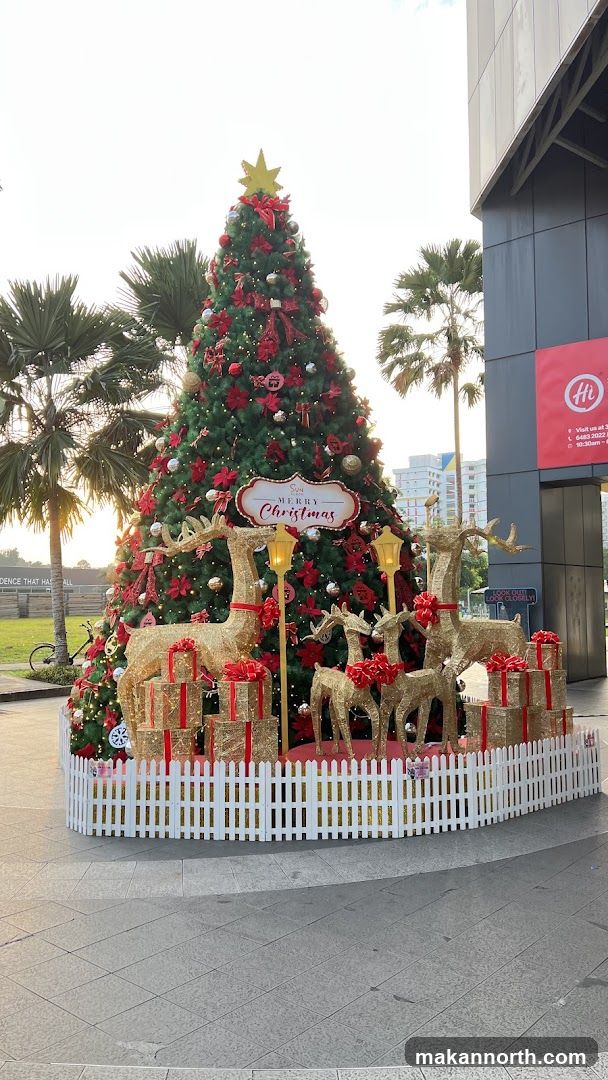 Christmas Tree Display