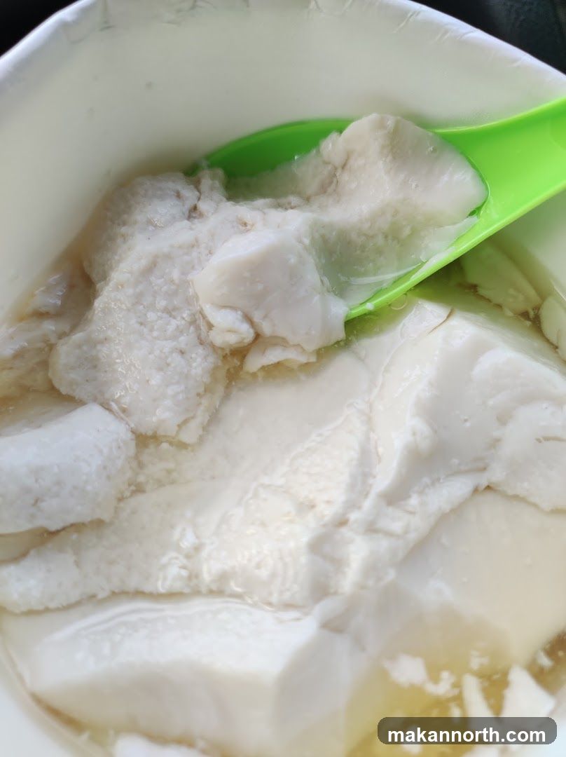 Tofu Pudding