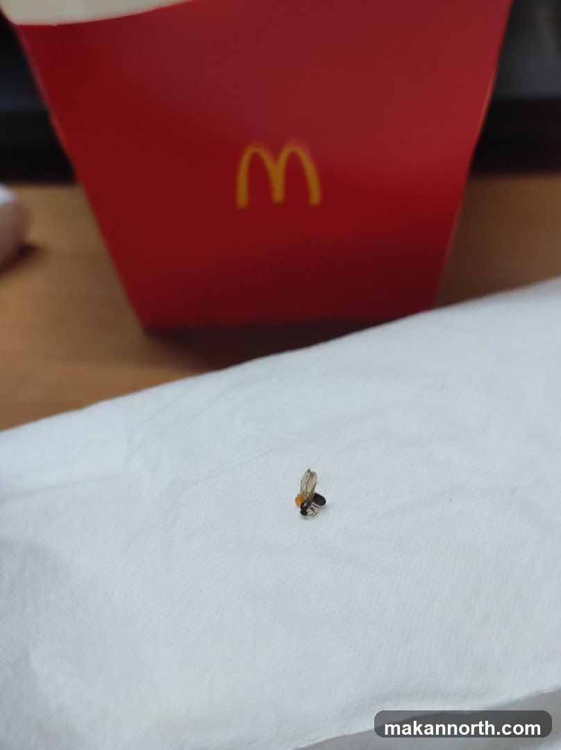 Fly on napkin with McDonald's fry box