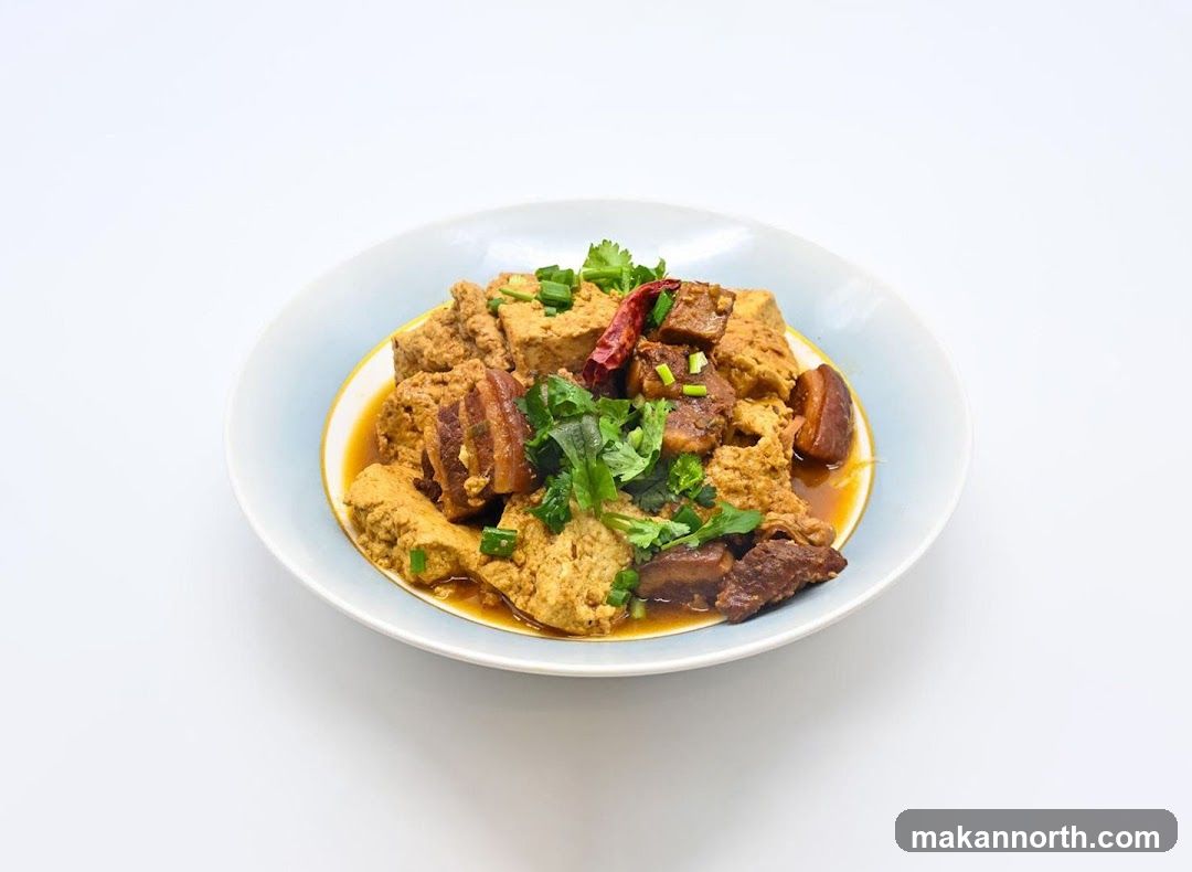 Braised Tofu and Pork Belly