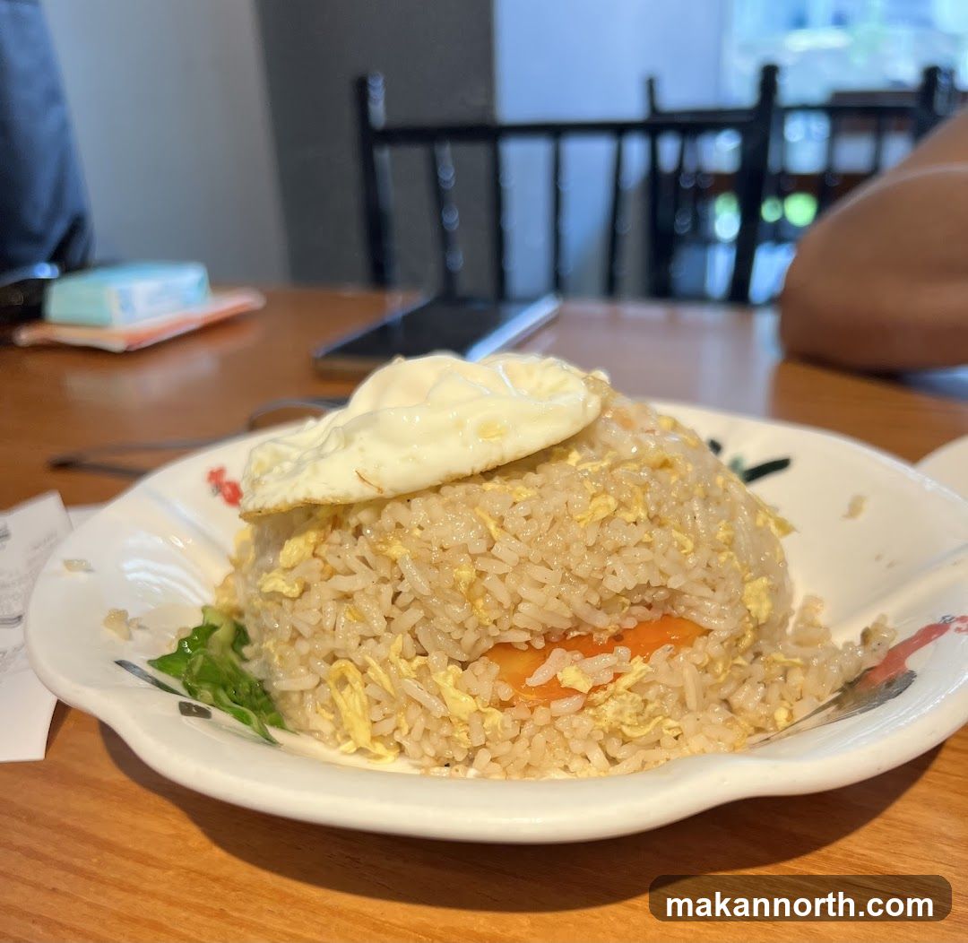 Fried Rice with Fried Egg