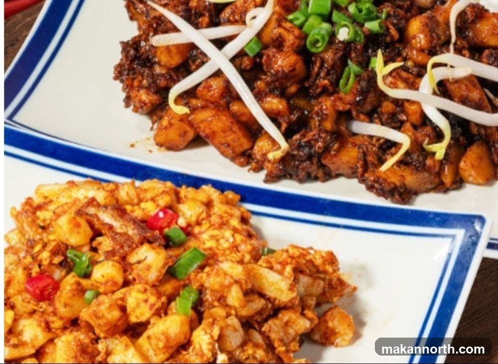 Fried Radish Cake Dishes