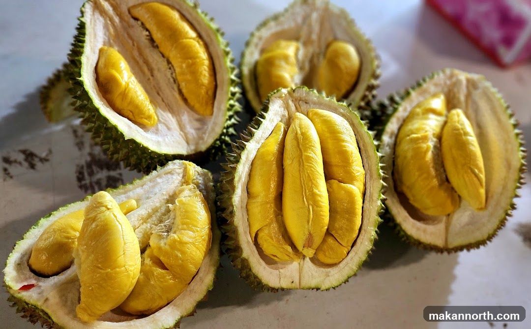 Fresh Durian Fruit