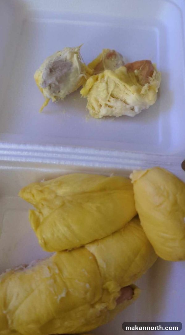 Durian Fruit