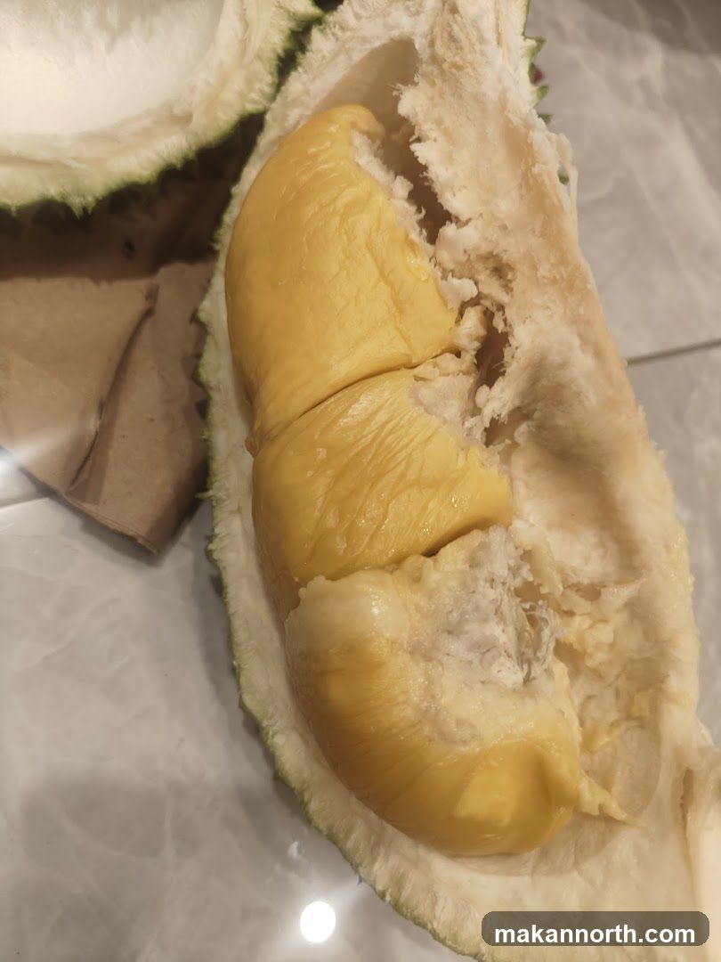 Durian Fruit