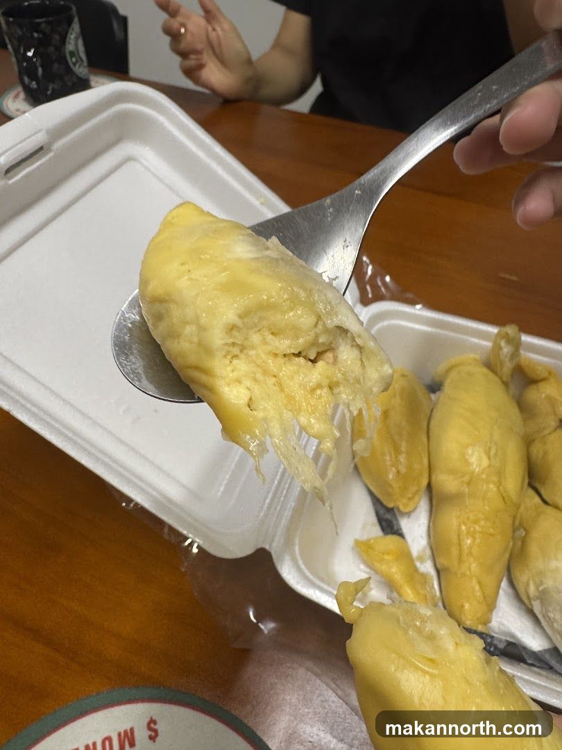 Durian Fruit