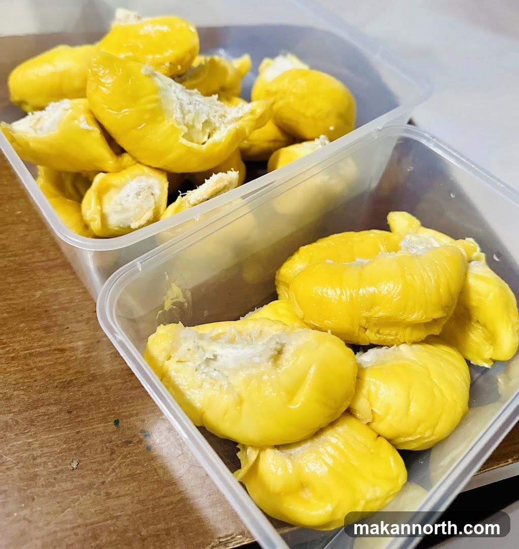 Durian Fruit