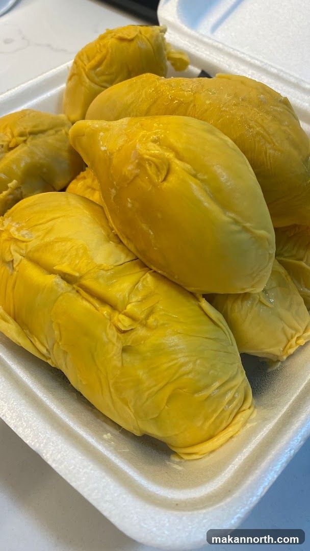 Durian Fruit