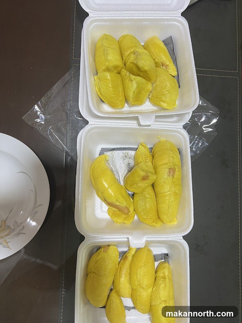 Durian Fruit
