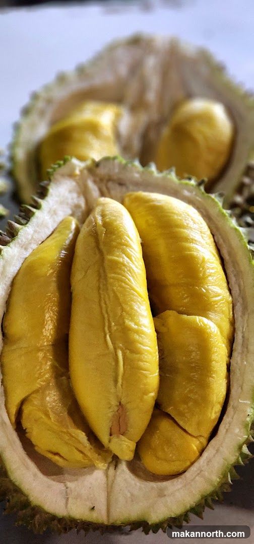 Durian Fruit