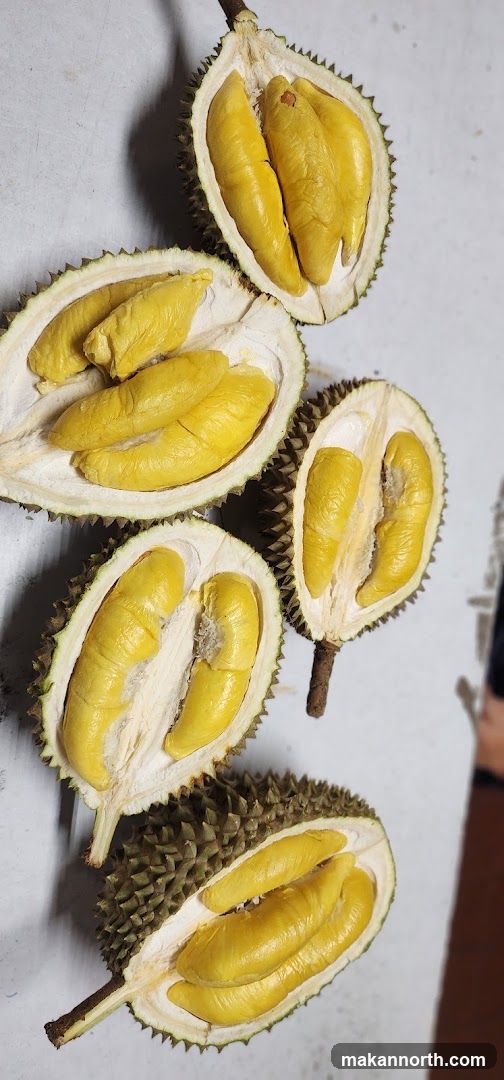 Durian Fruit