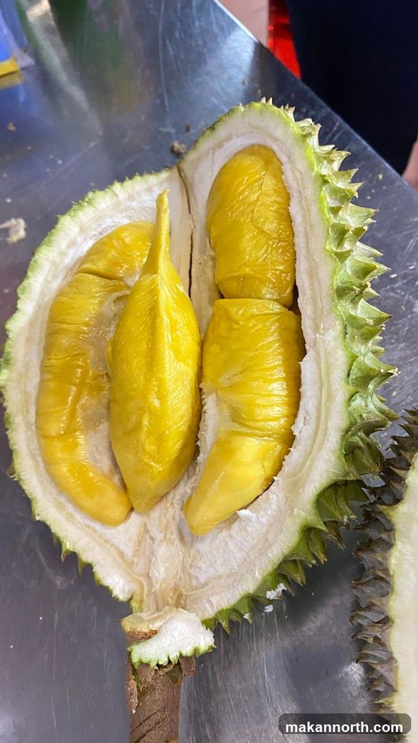 Durian Fruit