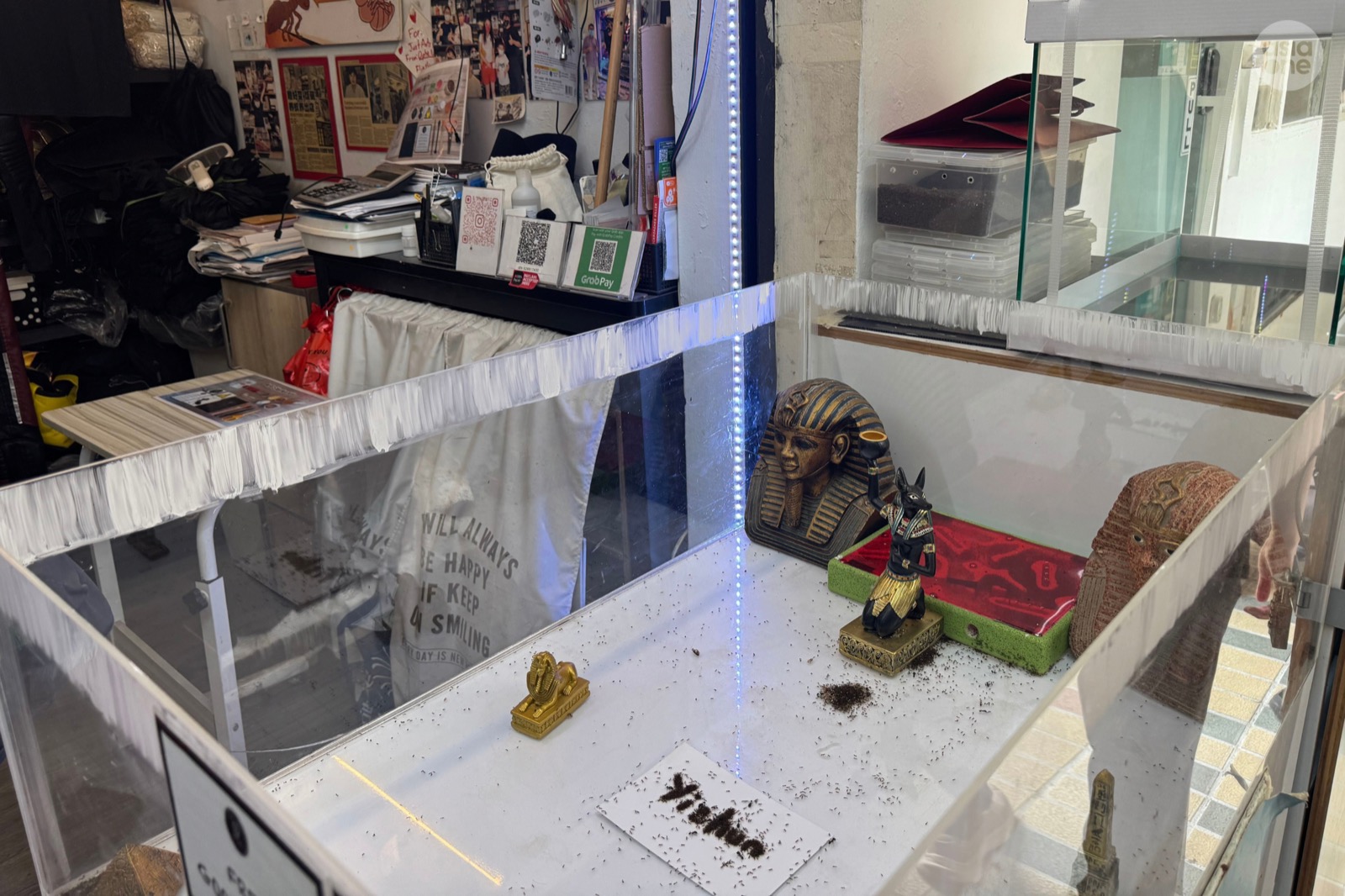 Just Ants shop display on the Cabinet of Curiosities Yishun Heritage Trail